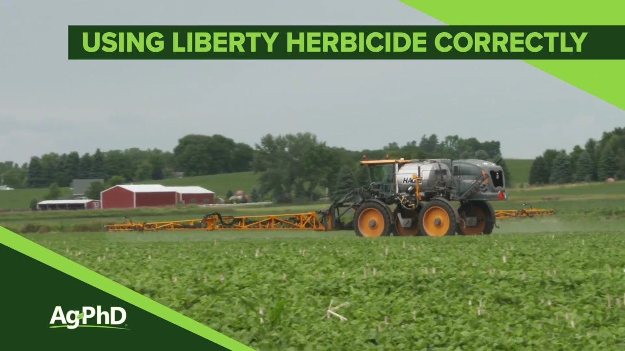 Using Liberty Herbicide Correctly (From Ag PhD Show #1102 - Air Date 5-19-19)
