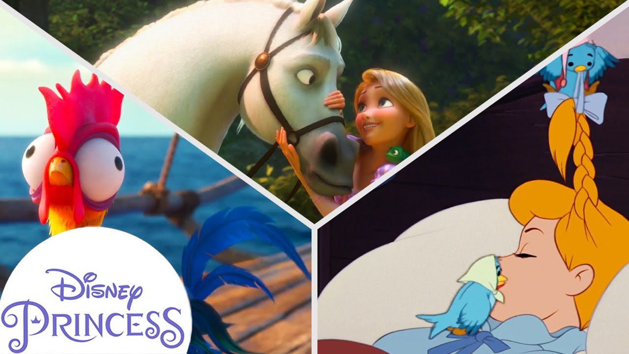 Disney Princesses Spending Time With Their Animal Friends | Disney Princess