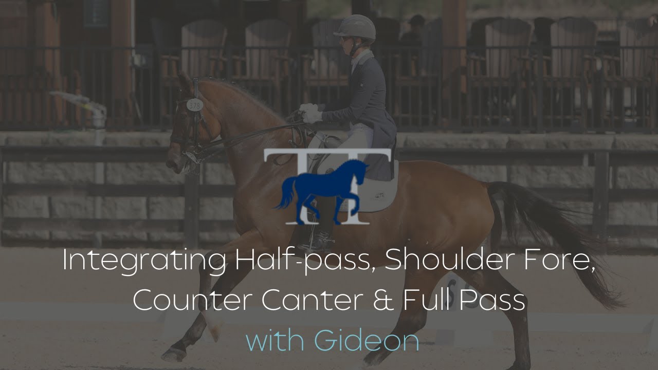 Integrating Half-Pass, Shoulder Fore, Counter Canter & Full Pass