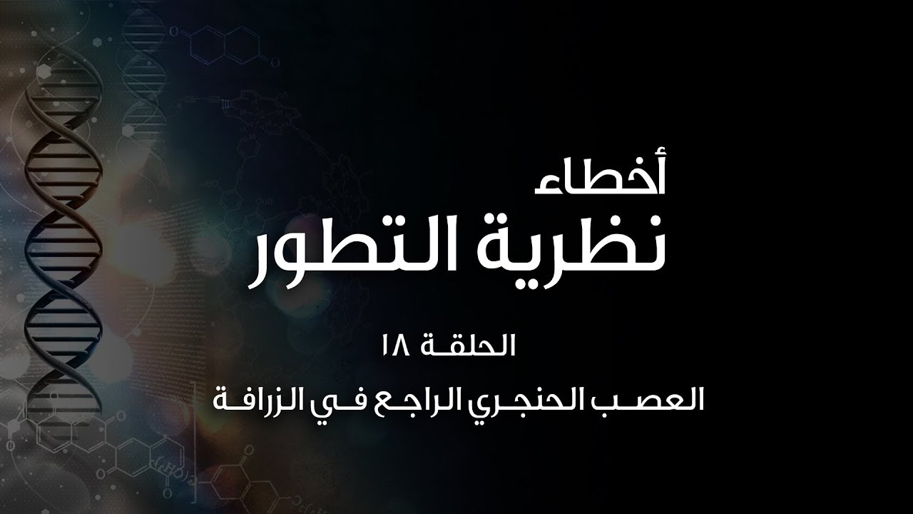 أخطاء نظرية التطور (١٨): العصب الحنجري الراجع في الزرافة - The Laryngeal nerve of the giraffe