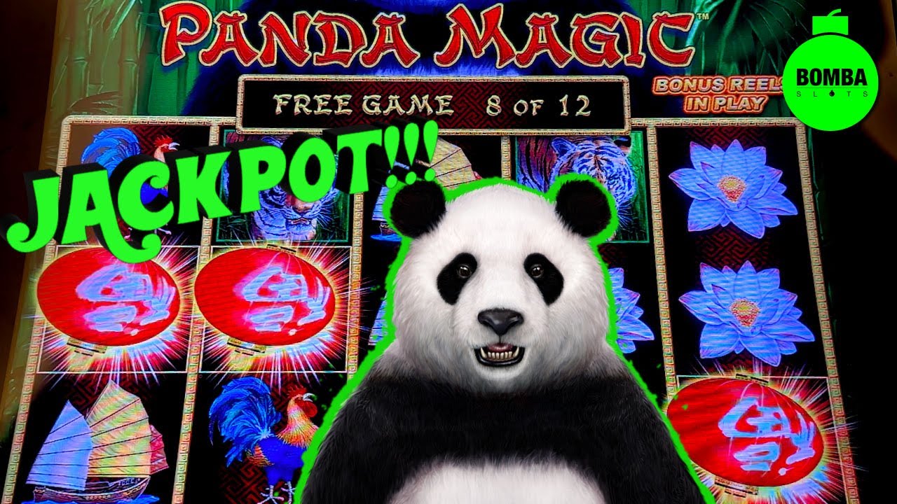 ALBERT!! JACKPOT!! A POSTCARD from Hard Rock Punta Cana! 🏝️ #Casino #HardRock #RoomTour #SlotMachine