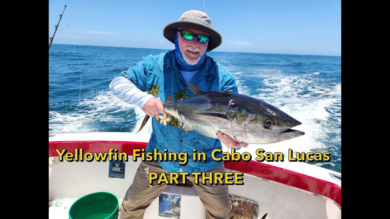 Yellowfin Fishing Cabo San Lucas   Part 3