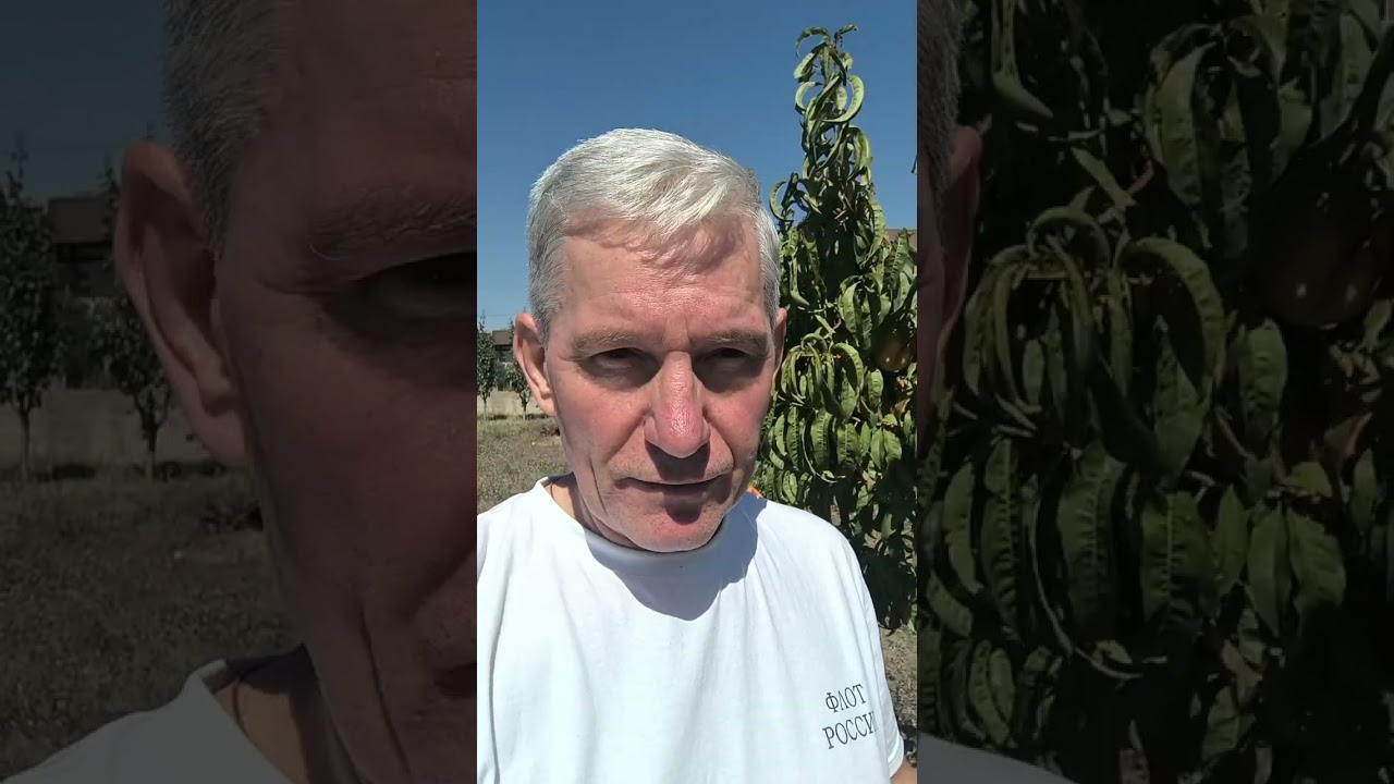 6 сентября 2025 г.