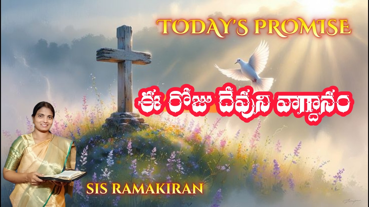 Todays promise_#26.02.2026