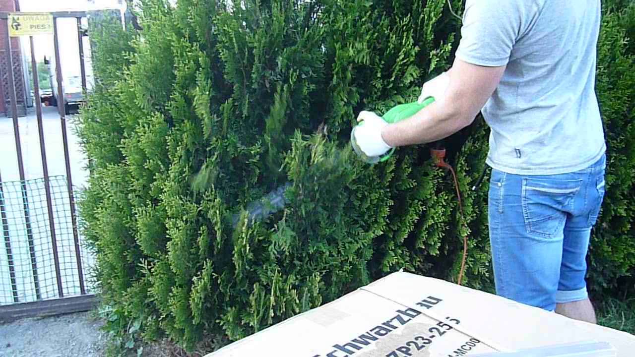 TEST nożyc do żywopłotu nożyce do żywopłotu krzewów 1500 WATT