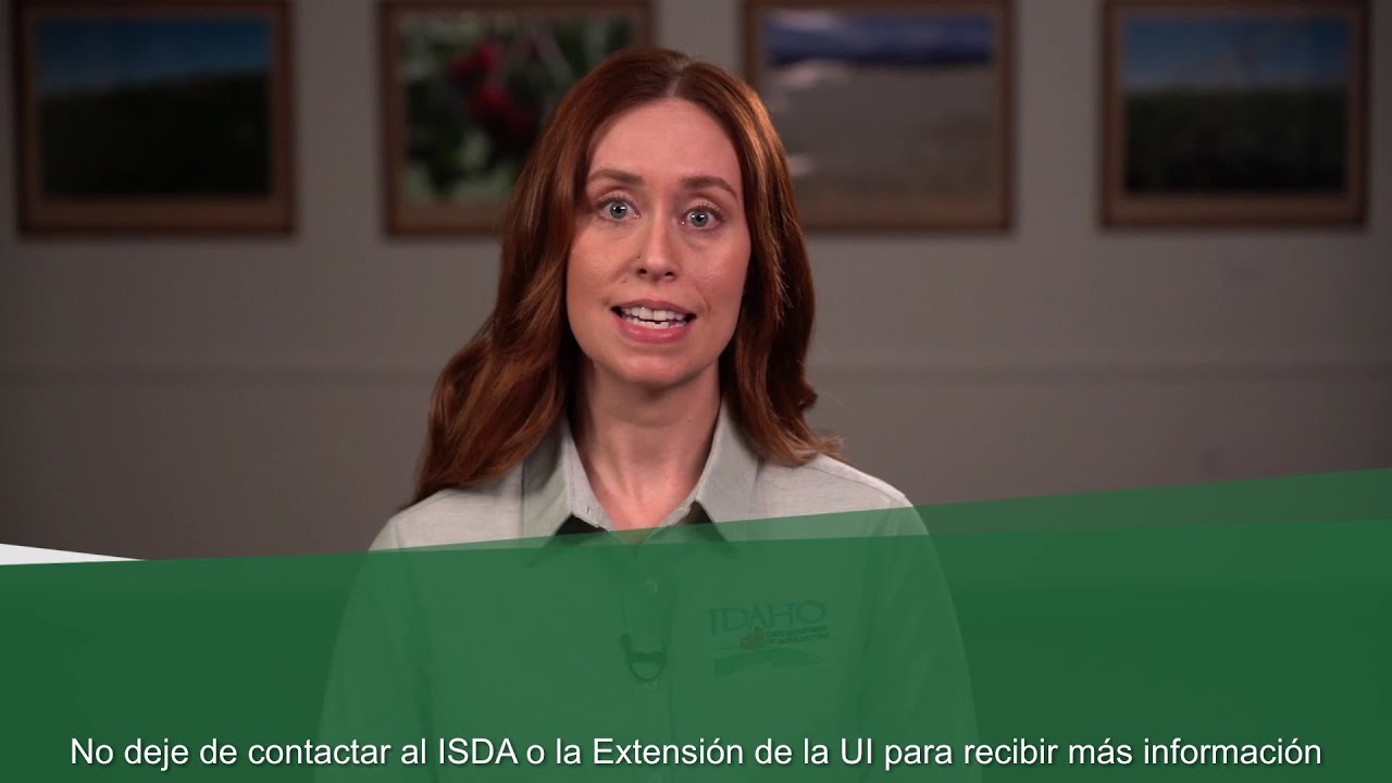 Part 8: Domesticated and Wild Animals With Spanish Voice Over and Subtitles