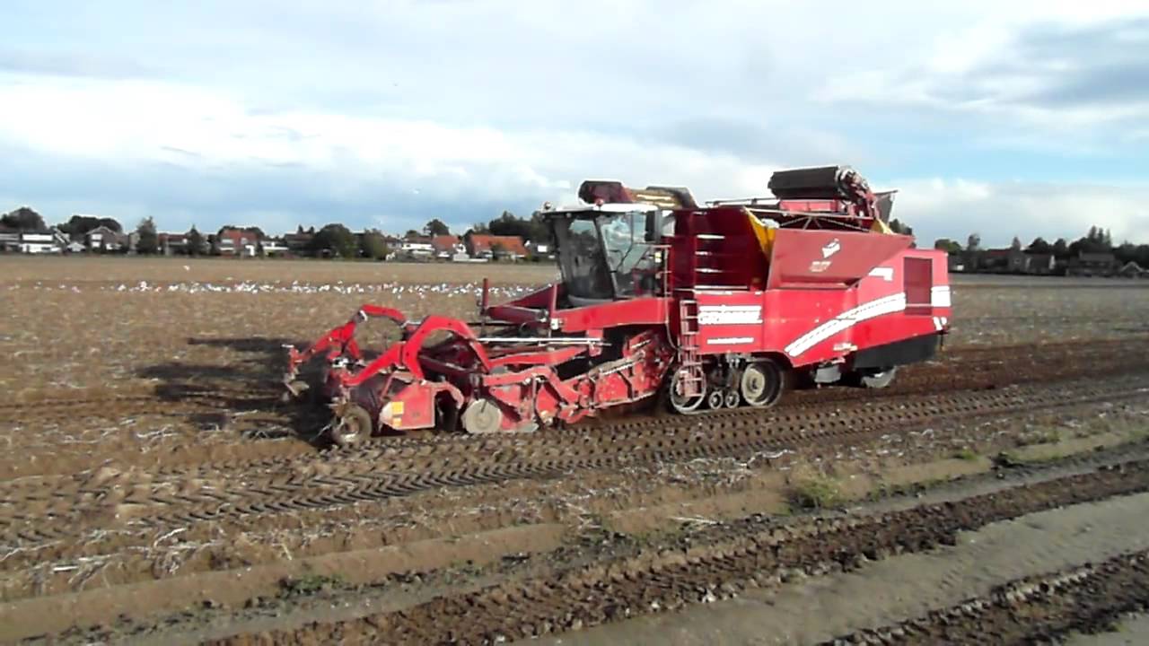 Kopanie ziemniak&oacute;w Innovator z Grimme Tectron 415 25-09-2012