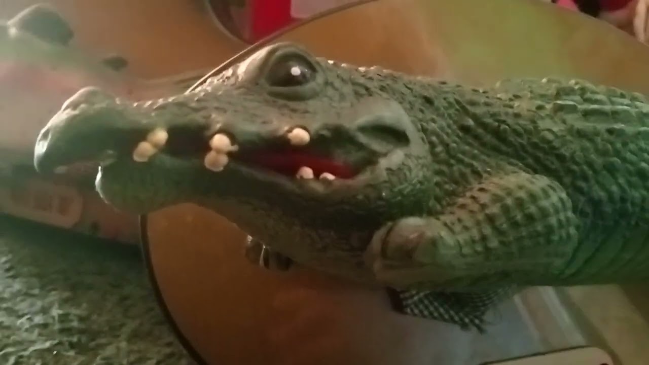 Dancing Alligator 🐊