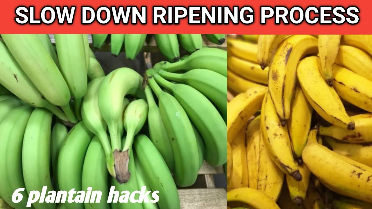 6 WAYS TO SLOW DOWN THE RIPENING PROCESS OF PLANTAIN - PLANTAIN HACKS