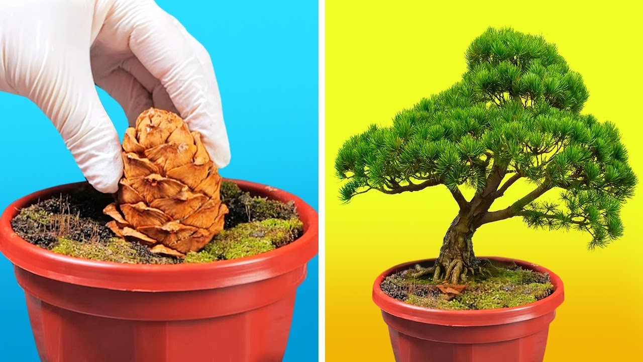 26 AWESOME PLANTING IDEAS TO GREEN UP YOUR HOME