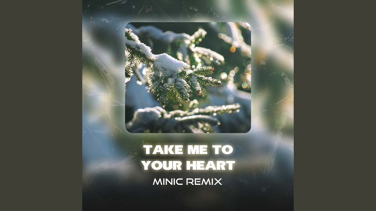 Take Me To Your Heart (MiniC Remix)