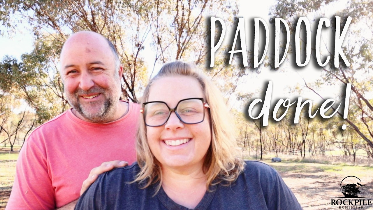 Farm fence box section with gate - TRADITIONAL with a (literal) TWIST | Paddock fence part 3