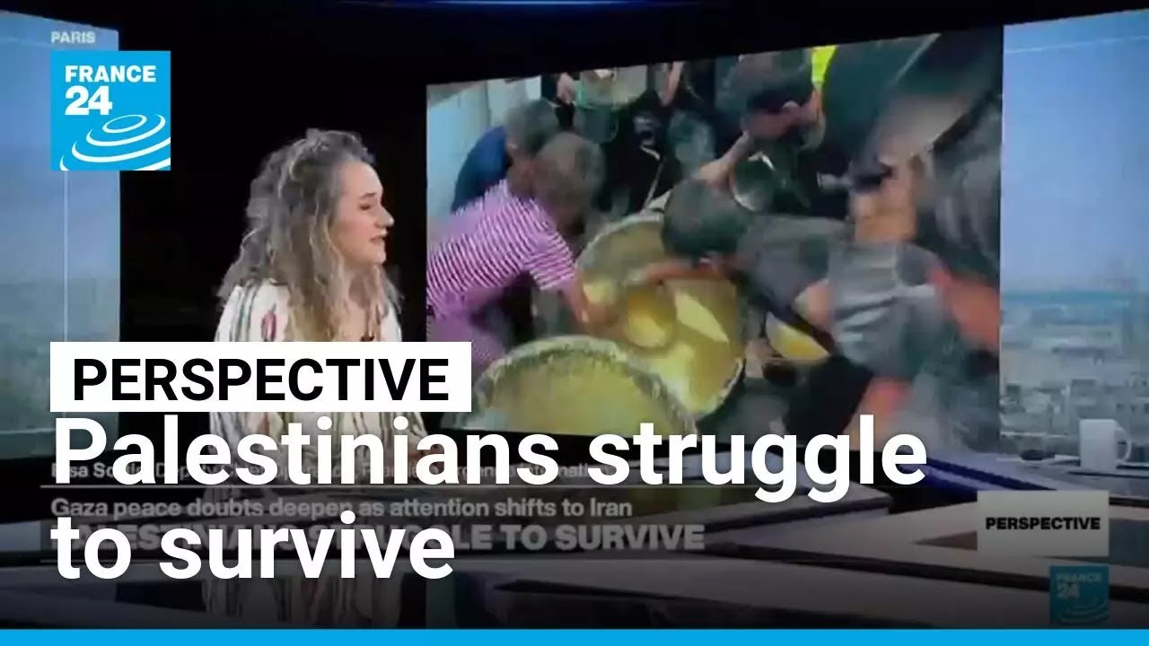 NGO on Gaza: 'We don&rsquo;t share the same definition of ceasefire' &bull; FRANCE 24 English