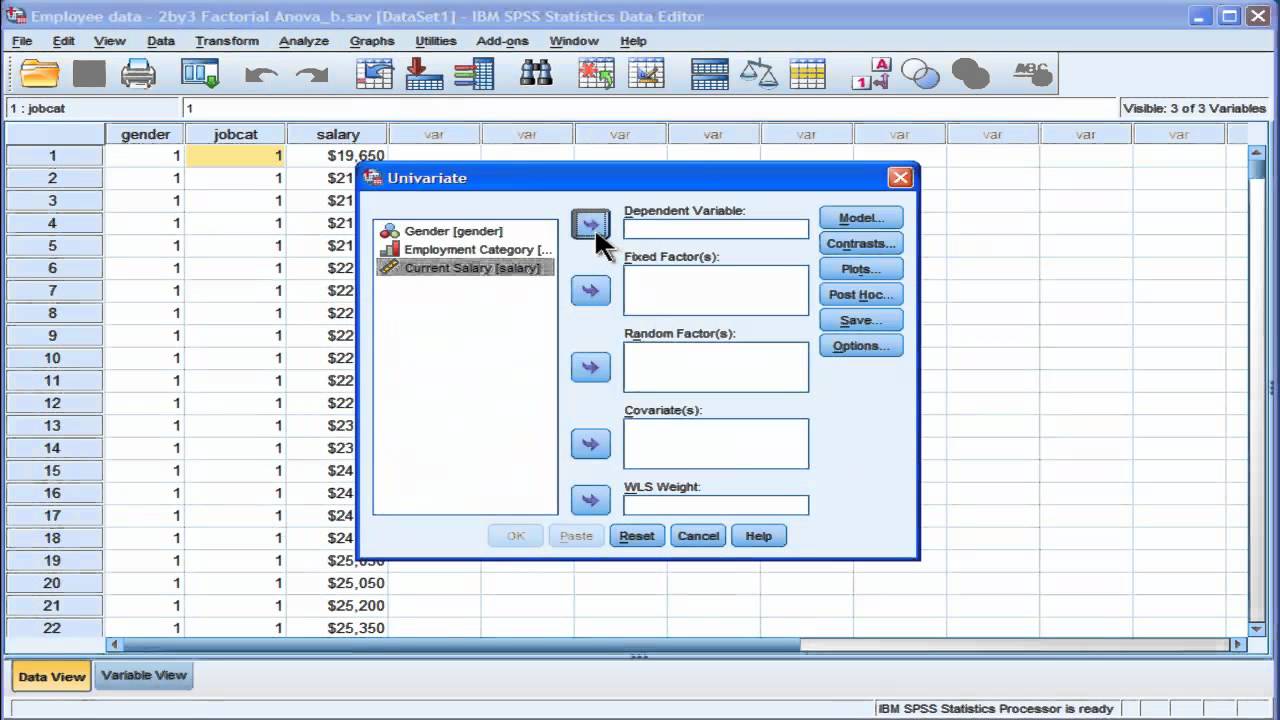 Two Way ANOVA - SPSS (part 1)
