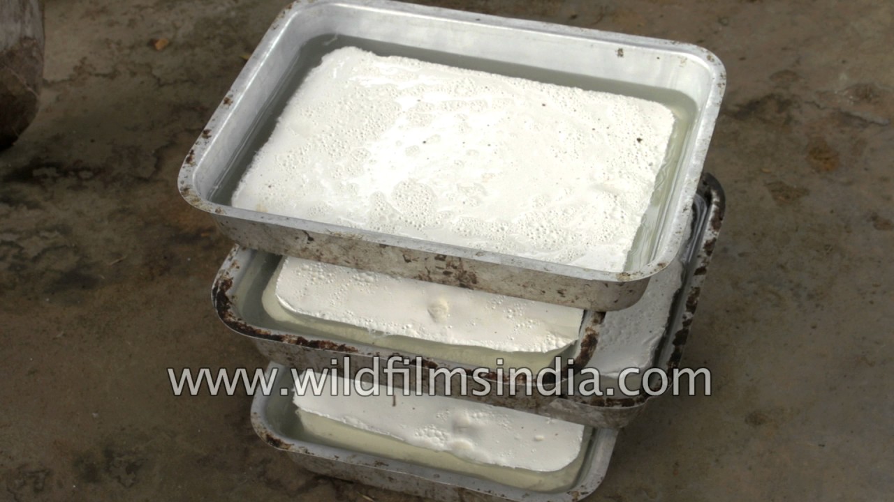 Process of rubber tapping to sheet making | Arunachal Pradesh