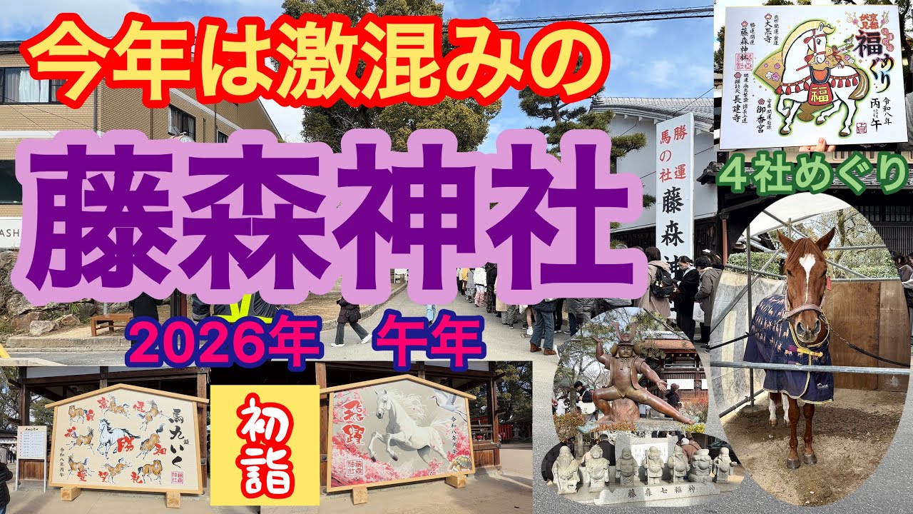 【初詣・京都の藤森神社】2026年午年で激混み😱超人気の神社（馬の神様）に殺到！福めぐりに挑戦❣️
