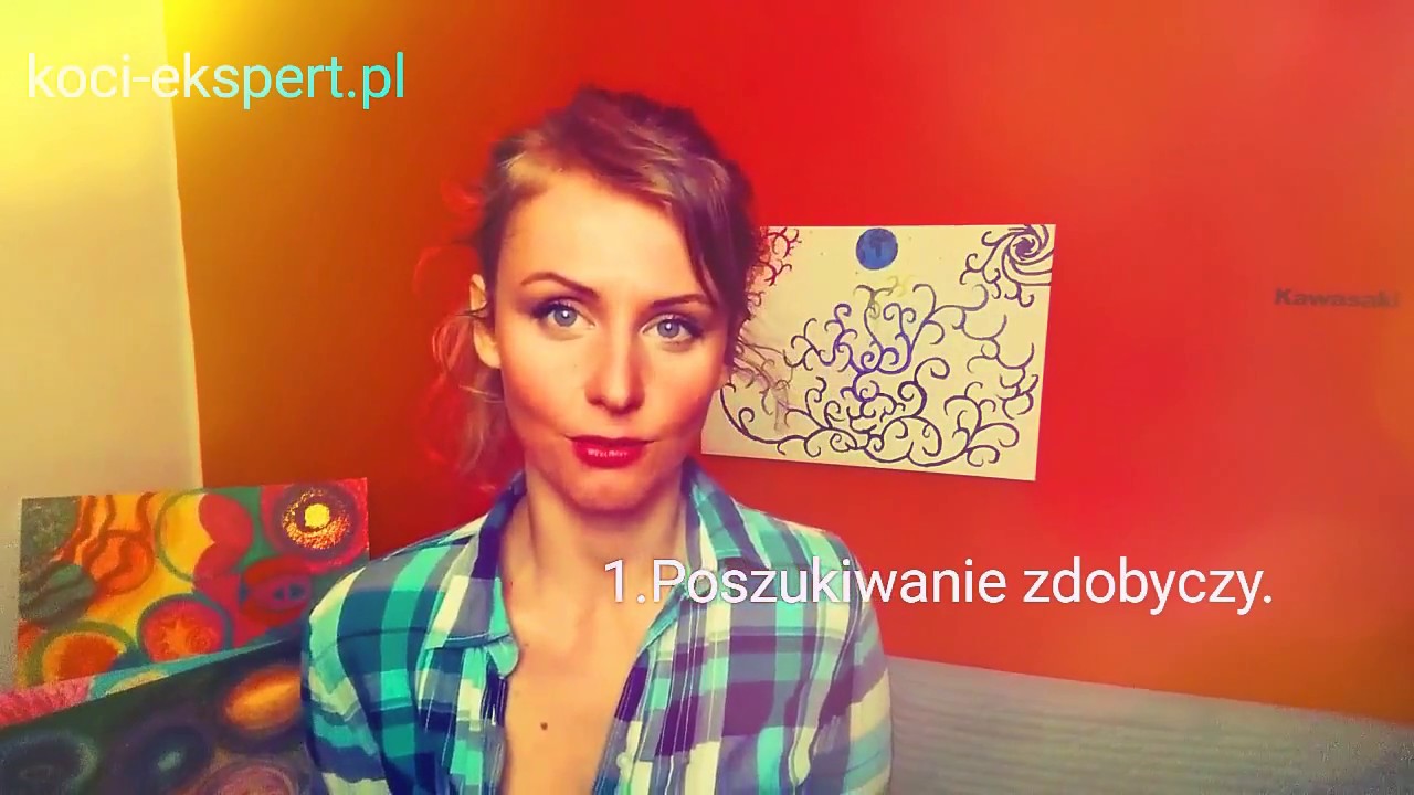 Jak bawić się z kotem?