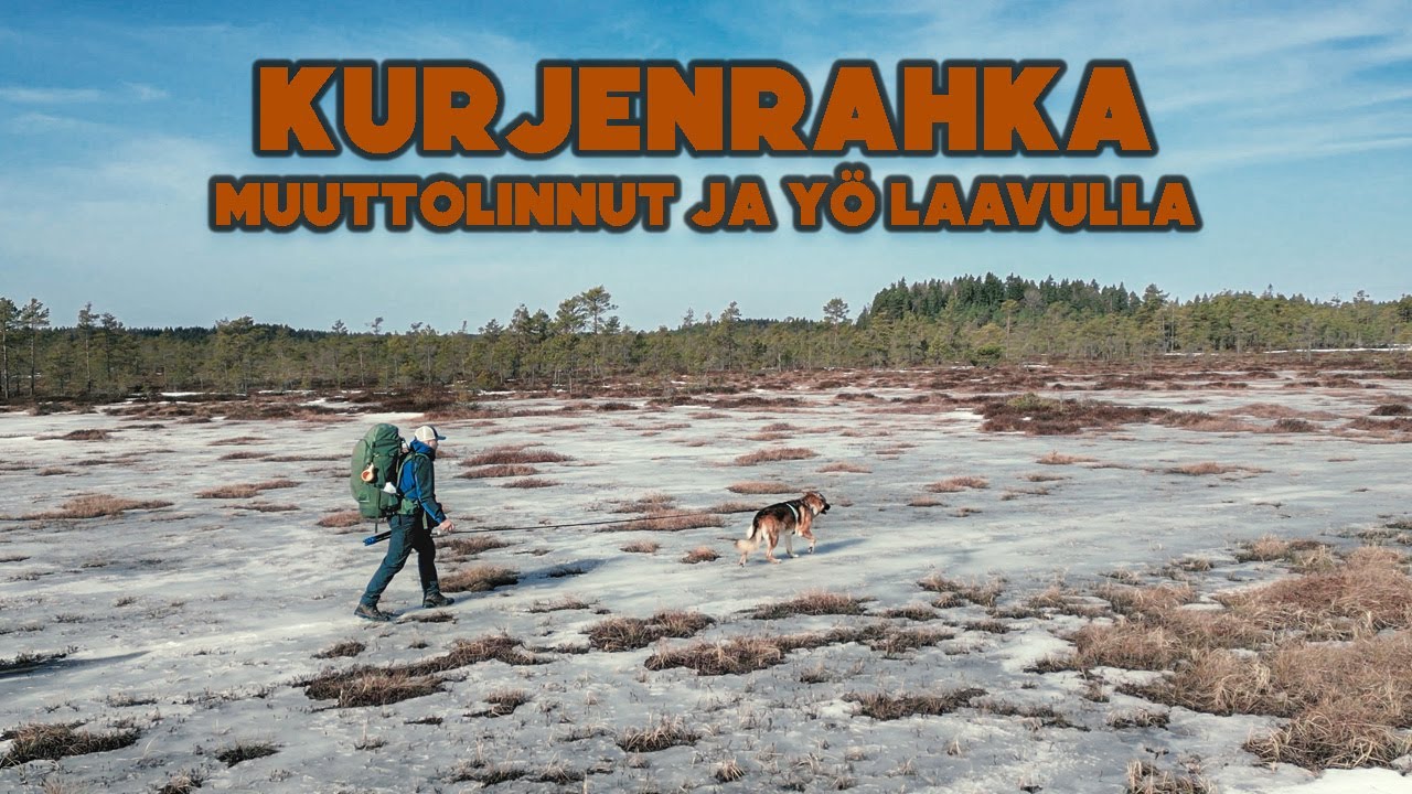 Yö Kurjenrahkan kansallispuistossa -  Yö laavulla koiran kanssa
