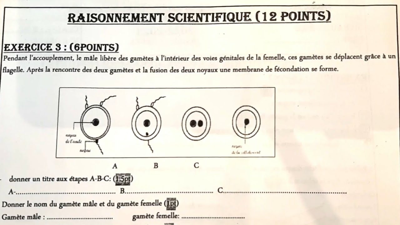 Contrôle SVT 2AC sur la reproduction sexuée chez les animaux.