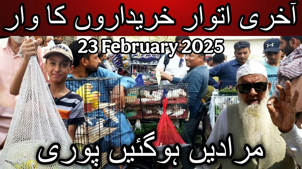 Lalukhet birds market part 1 February 23, 2025 | Cheapest price birds market in karachi pakistan