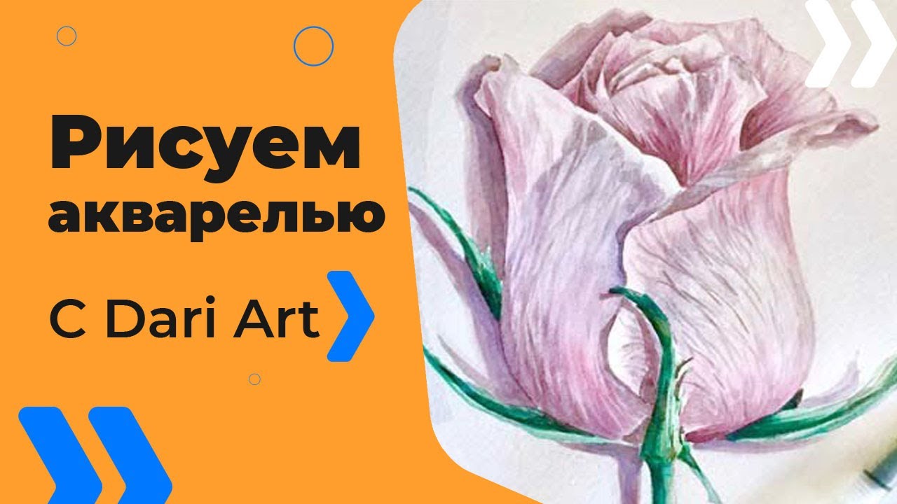 Подробный видео урок по акварели для начинающих! Рисуем розу! #Dari_Art
