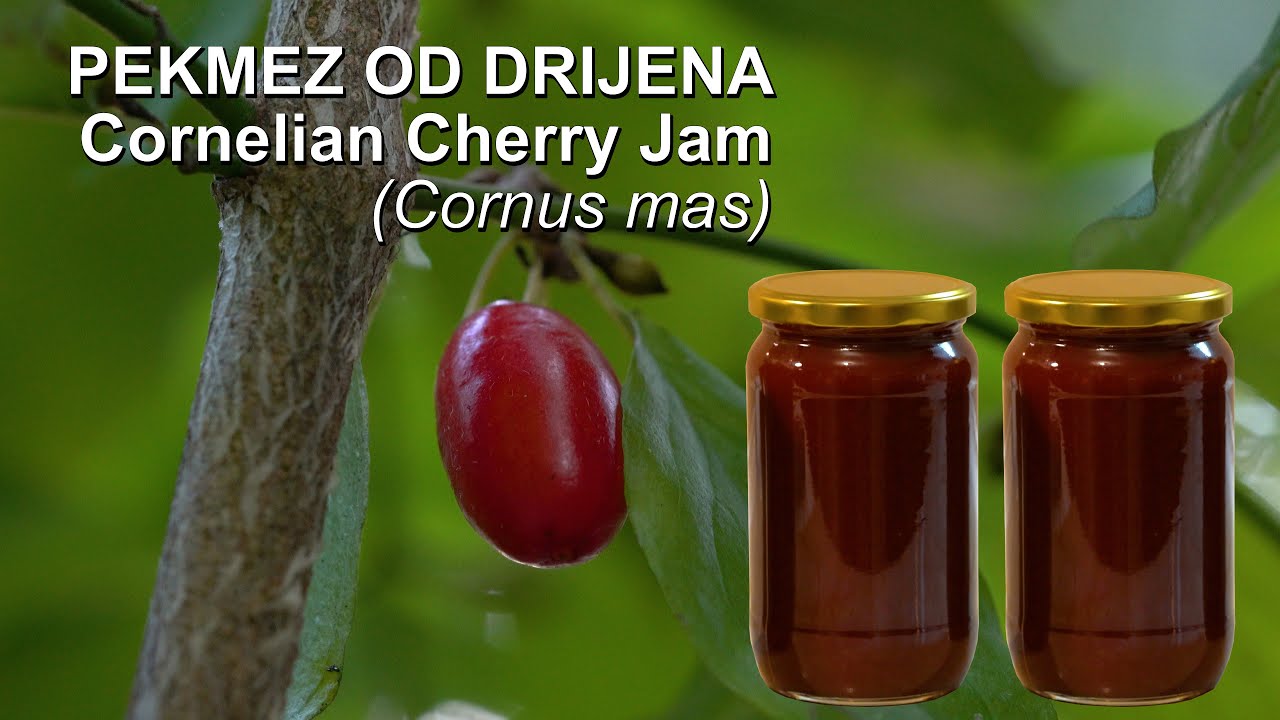 Pekmez od drijena | Cornelian Cherry Jam (Cornus mas) - (4K)