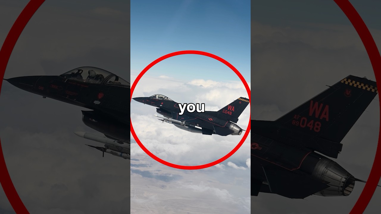 How Are US Jet Pilots Different from European Pilots