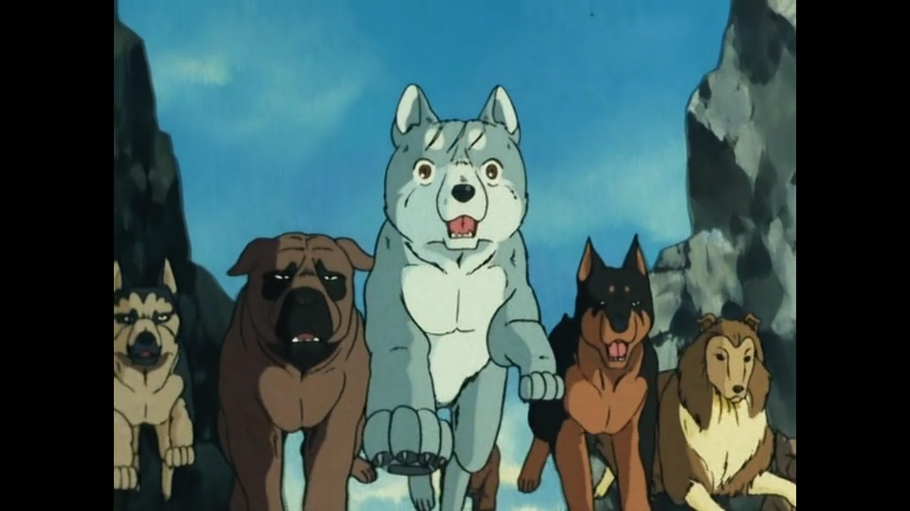 Silver Fang Temasang med dansk tekst Nagareboshi Gin