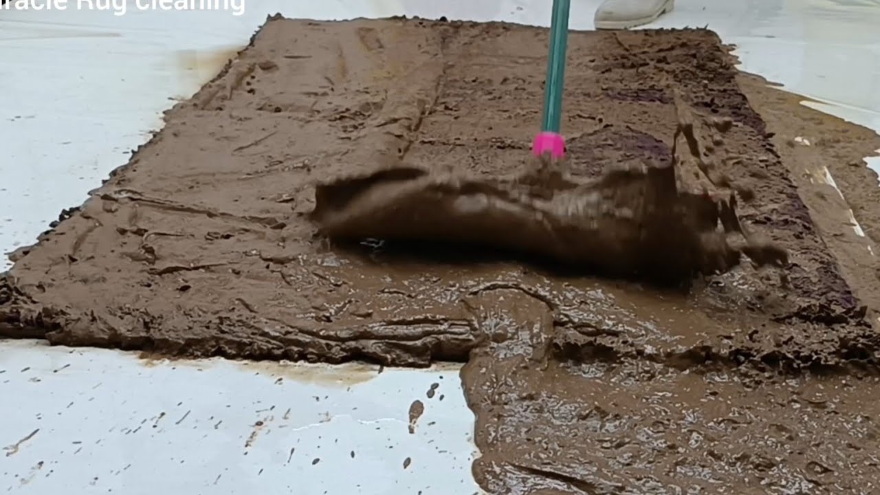 The Satisfying Science of Wool Carpet Washing