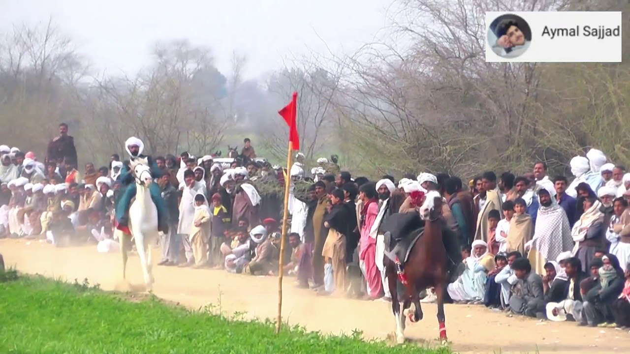 Oqaab vs Manthaar. Single Footer Horsess. A nice competition.. Mela Makwal Kalan 2020