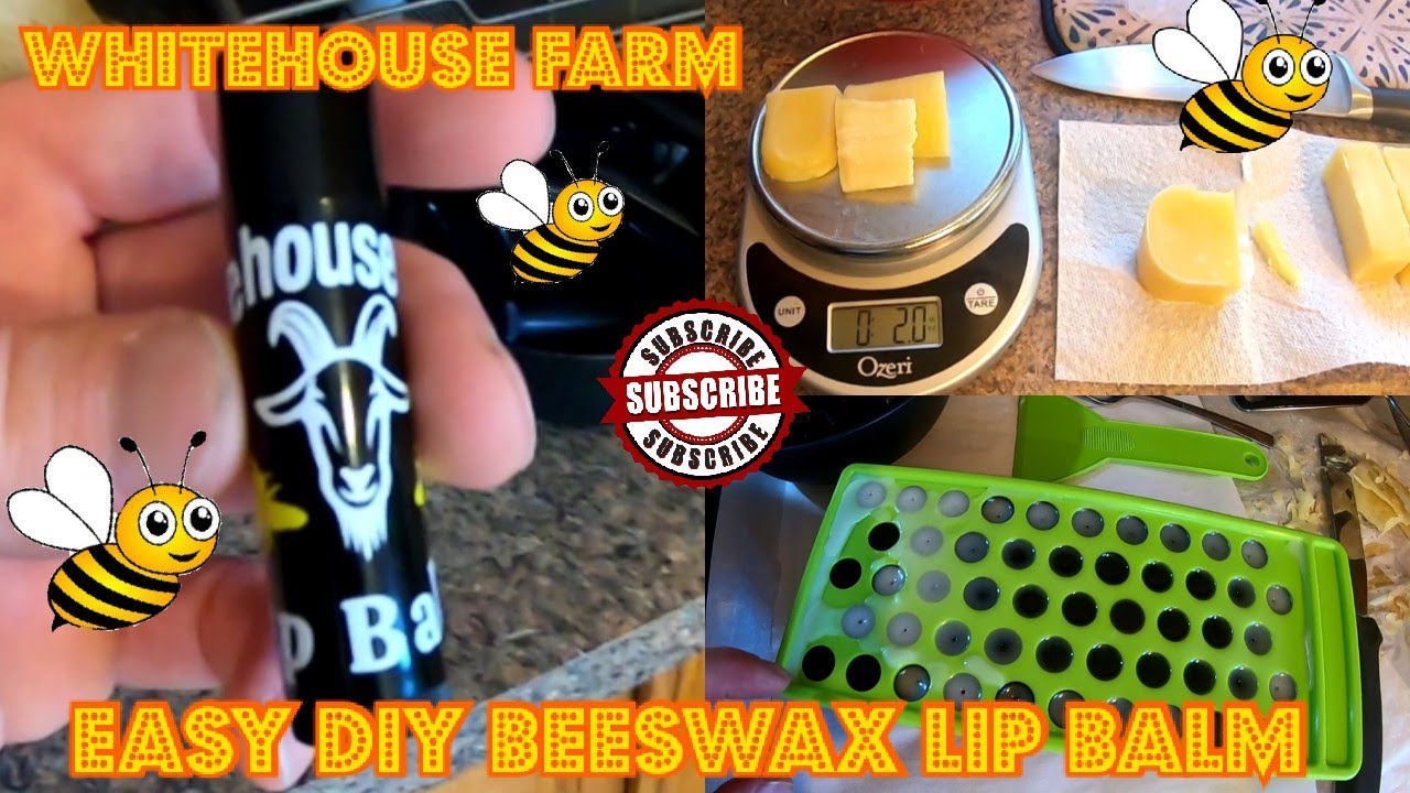 Homemade Beeswax Lip Balm (Organic All Natural) From Our Bees