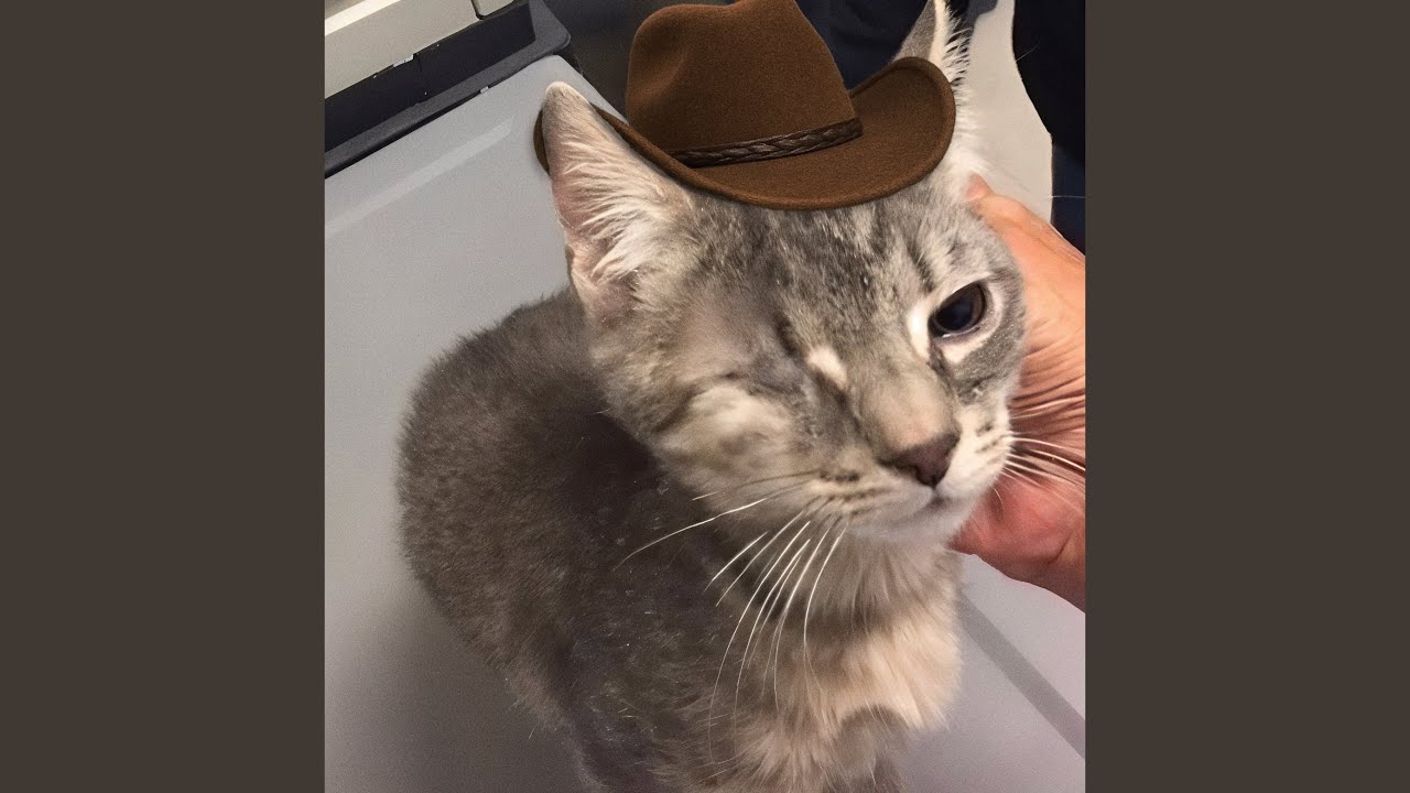 Vandr