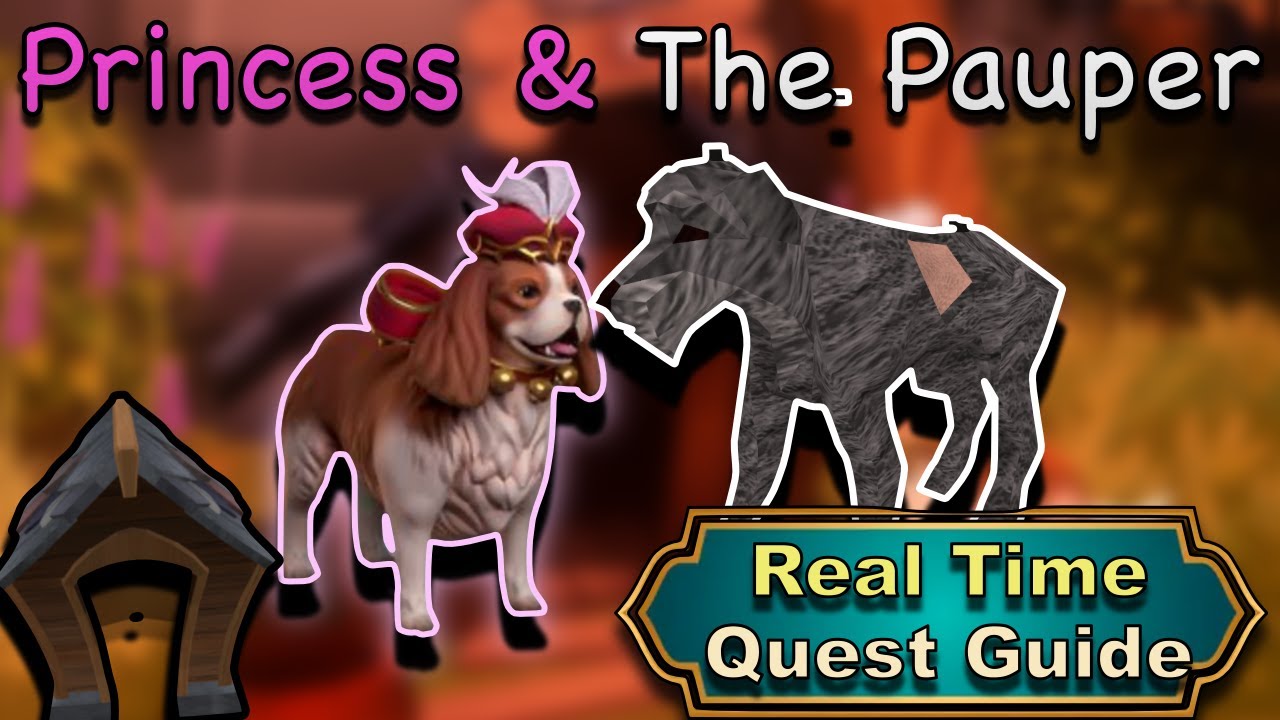 Princess and The Pauper - Real Time Quest Guides