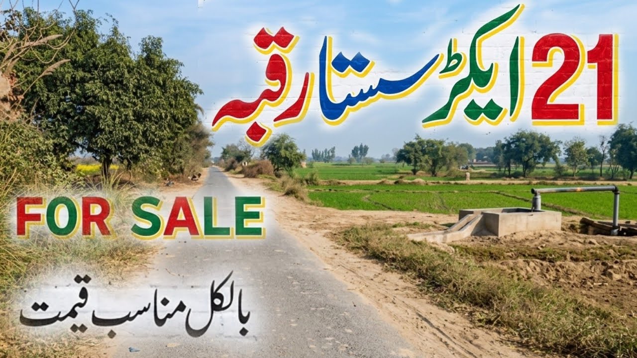 21 Acres Agriculture Land for Sale in Punjab Pakistan | Farming Land | Episode 203