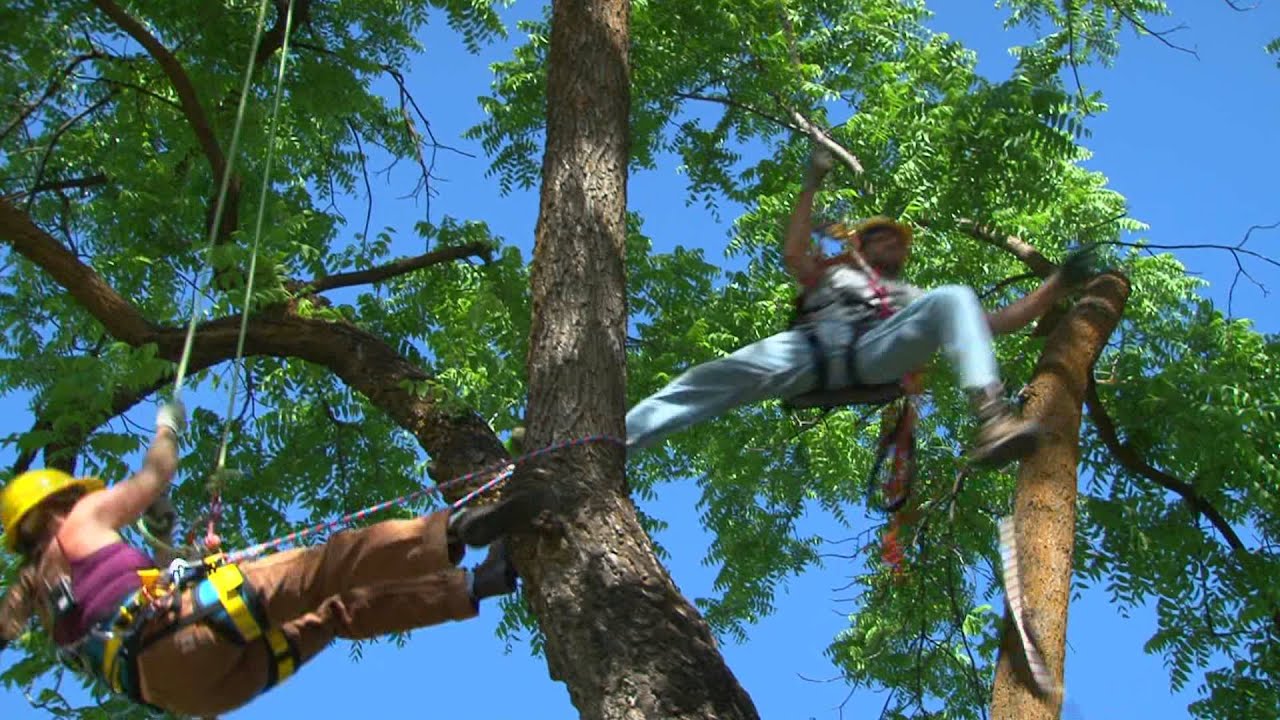 Landscape Management