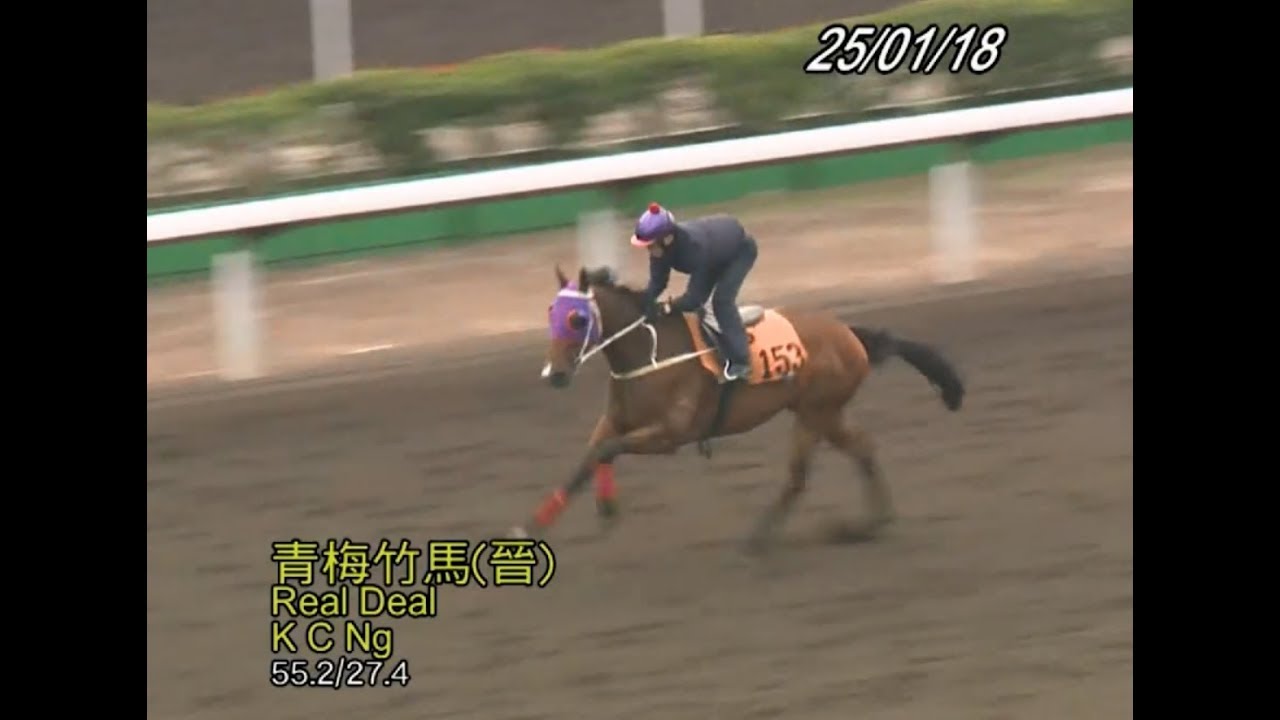 R1 亂局博冷 青梅竹馬 明昇 馬化龍 Real Deal The Legend Furlong Dragon