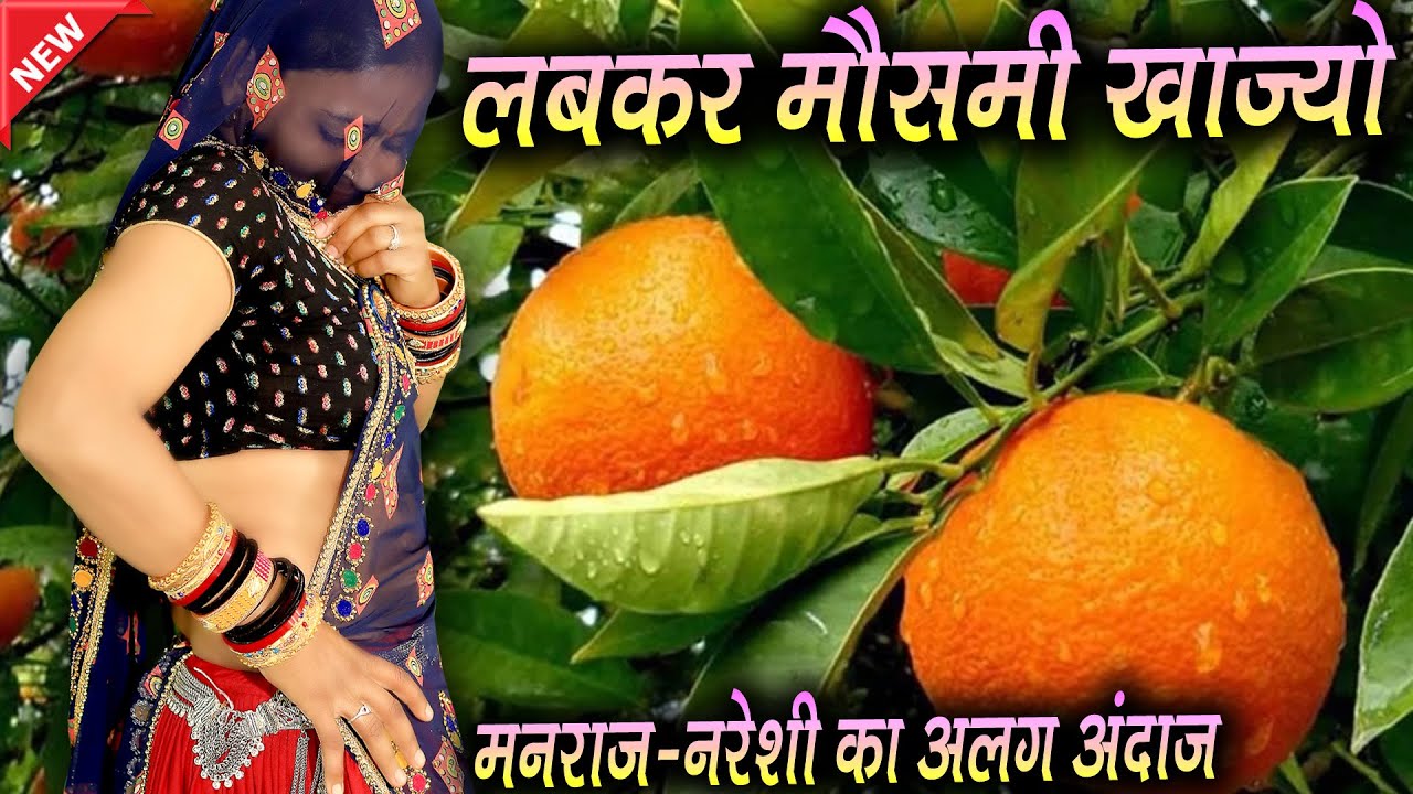 सारंगी अंदाज || सुसरा क बगीचों लबकर मौसमी खाज्यो #dance_video #trendingvideo #newmeenageet2023