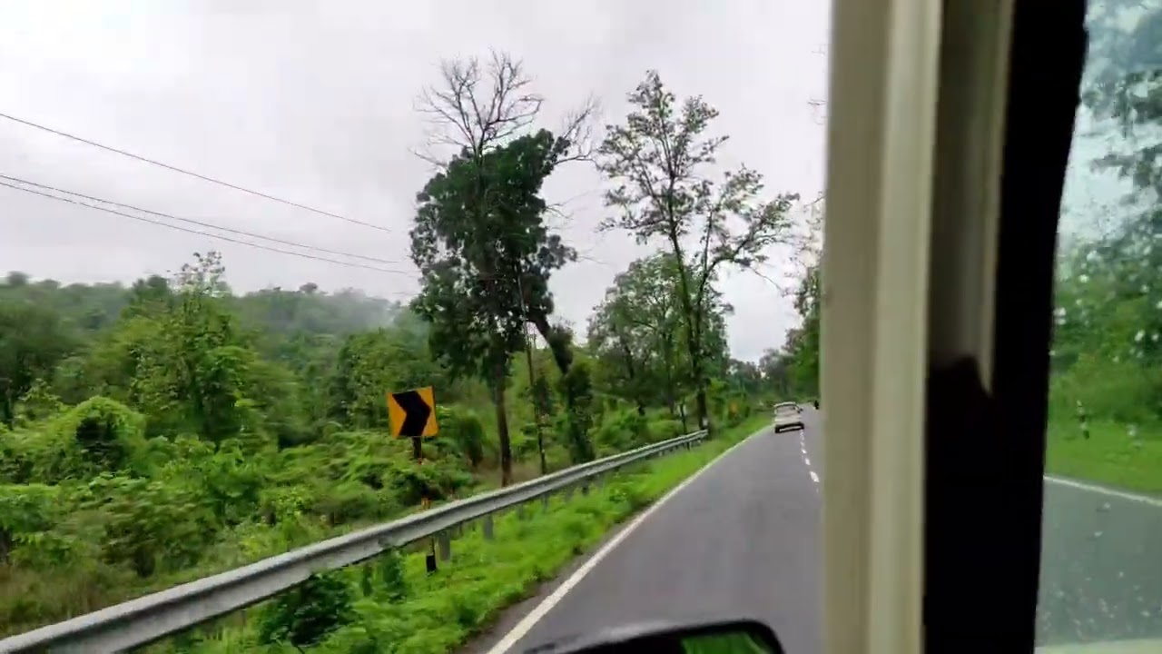 amazing in forest &  jungle ka sher