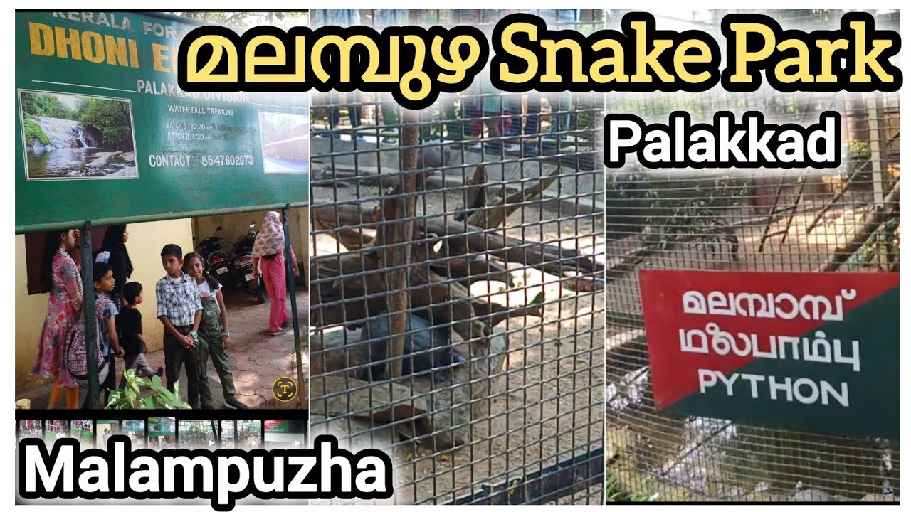 മലമ്പുഴയിലെ പാമ്പുകളുടെ ലോകം|Snake Park Malambhuzha | Palakkad  #malambuzha 