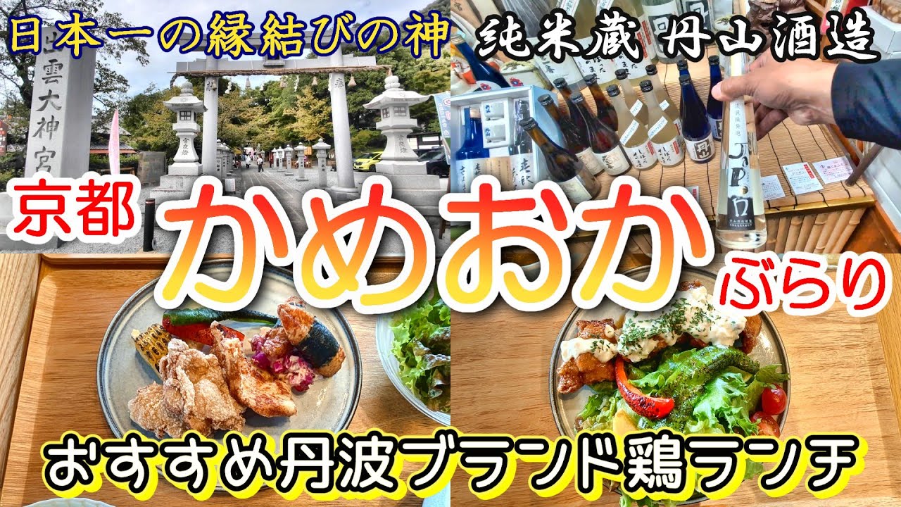 京都【亀岡市】をぶらり　丹波ブランド鶏ランチ！｜丹波山本｜丹山酒造｜かめおか霧のテラス｜出雲大神宮｜