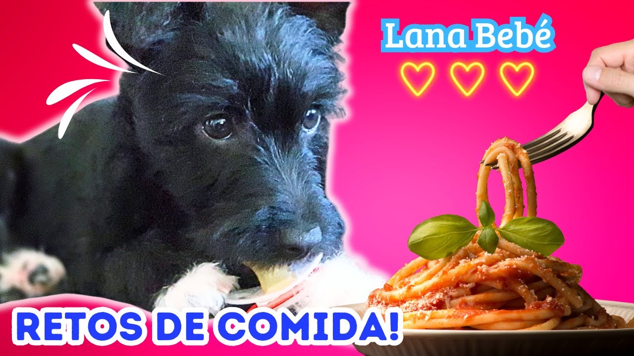 RETOS de COMIDA de mi PERRITA BEBÉ! 👶 Desafíos increibles de Lana cachorro 😍