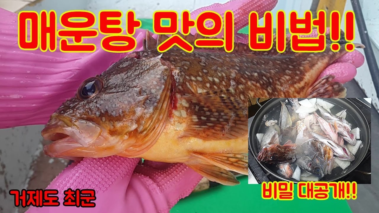 매운탕 맛의 비법!!  모두 다 공개합니다!!  망해도 좋다!!