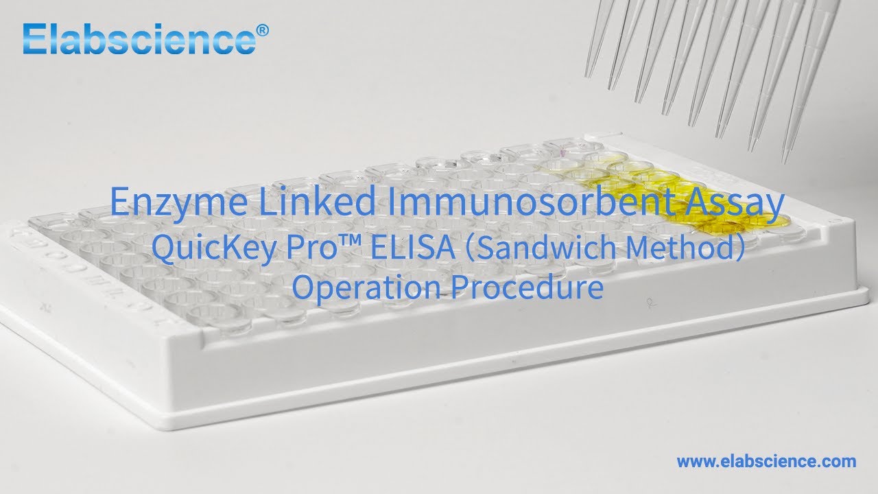 QuicKey Pro&trade; ELISA Sandwich Method Operation Procedure
