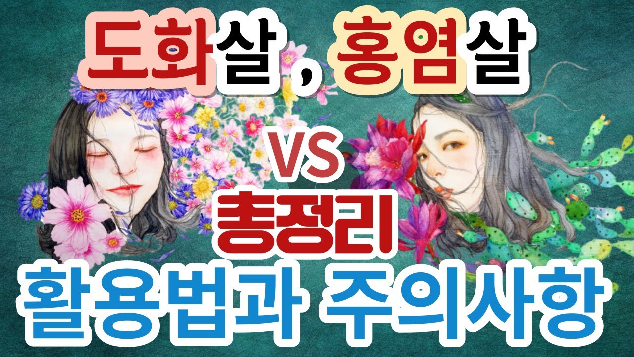 도화살 홍염살 총정리 활용법
