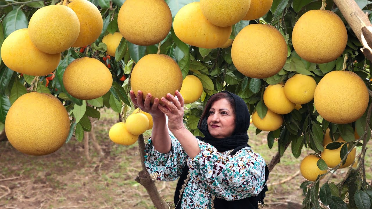 King of Citrus Fruits: Pomelo 🍊 | Pomelo Jam & Delicious Goose Recipe