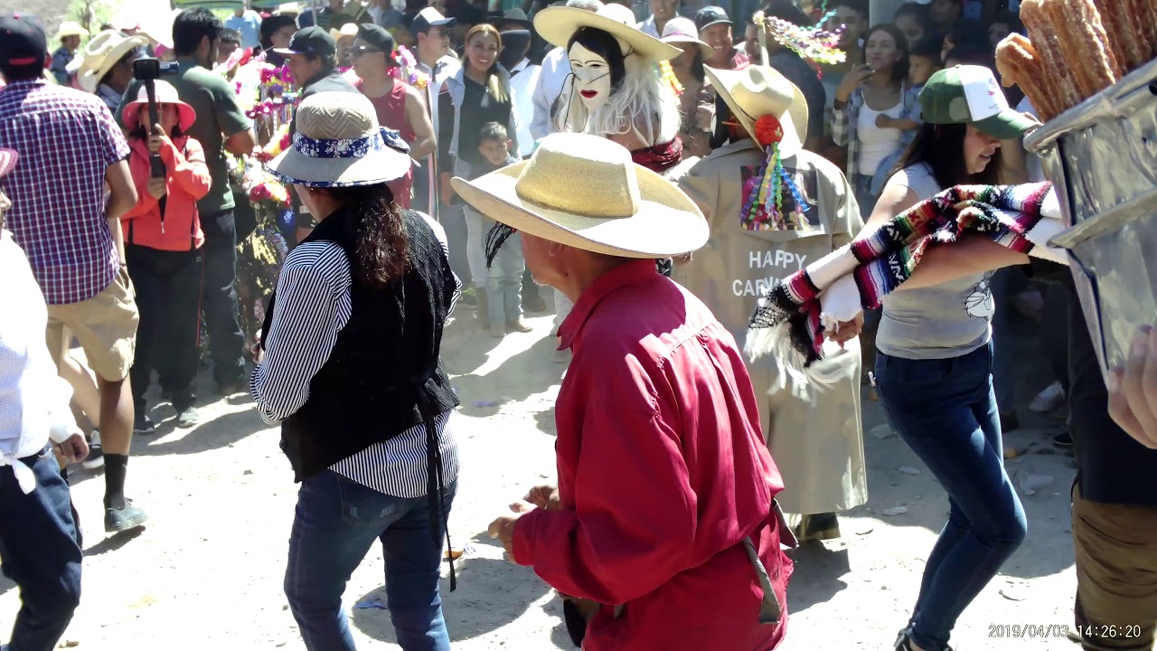 Carnaval Copándaro de Galeana 2019 - 18