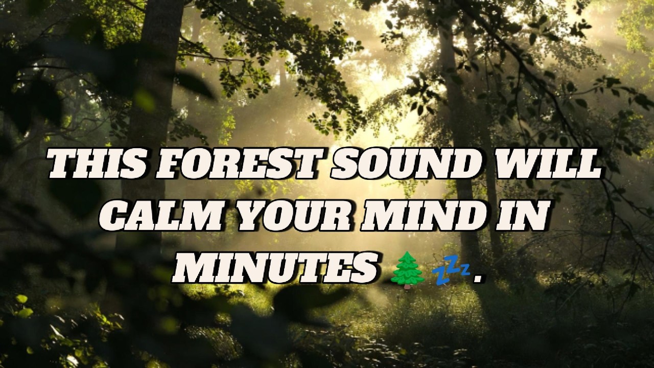 Whispering Forest Wind Ambience