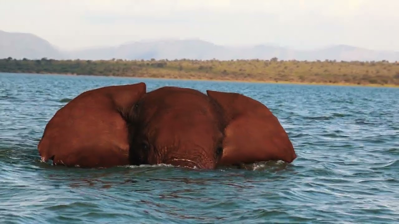 Royal Jozini: The edge of wild beauty