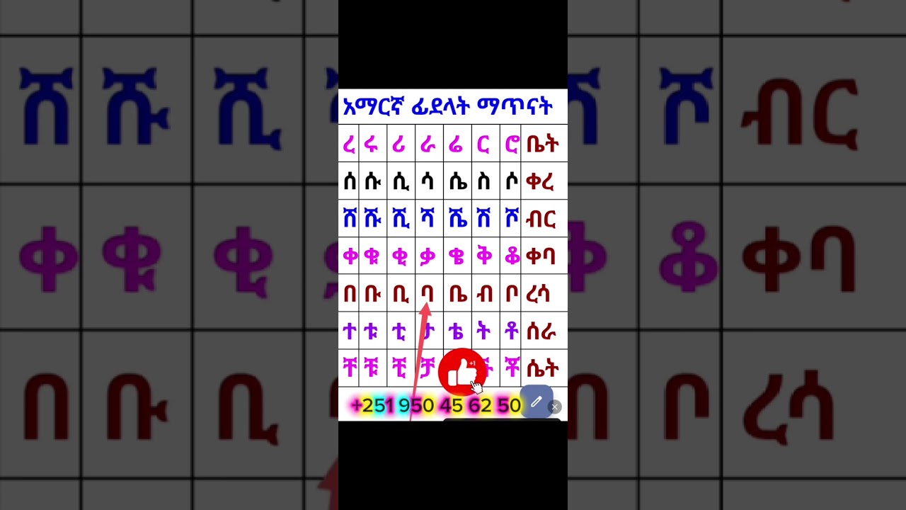 18 February 2026