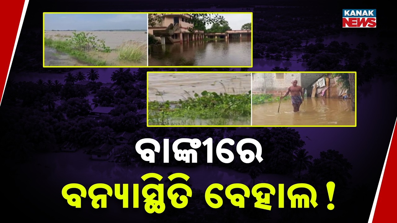 Odisha Flood News | Mahanadi Inundates Banki, Athagarh & Tigiria